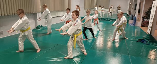 Aikido – zajęcia dla dzieci w wieku szkolnym 👍