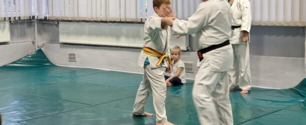 POKAZ SEKCJI AIKIDO